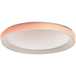 Aqara Ceiling Light T1M: Model No: CL-L02D - 1