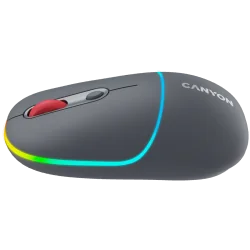 CANYON mouse MW-22 2in1 BT/ Wireless Dark Grey - 10