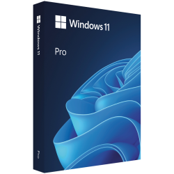 Microsoft Win Pro N 11 64-bit All Languages Online Product Key License 1 License Downloadable ESD NR - 1