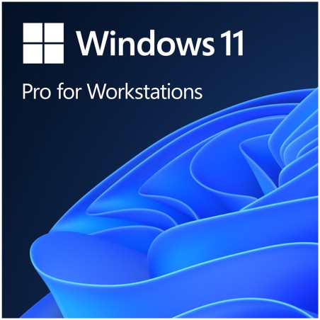 Win 11 Pro GGK 64Bit Eng Intl 1pk DSP ORT OEI DVD - 1