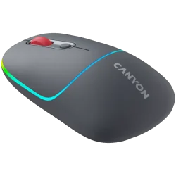 CANYON mouse MW-22 2in1 BT/ Wireless Dark Grey - 2