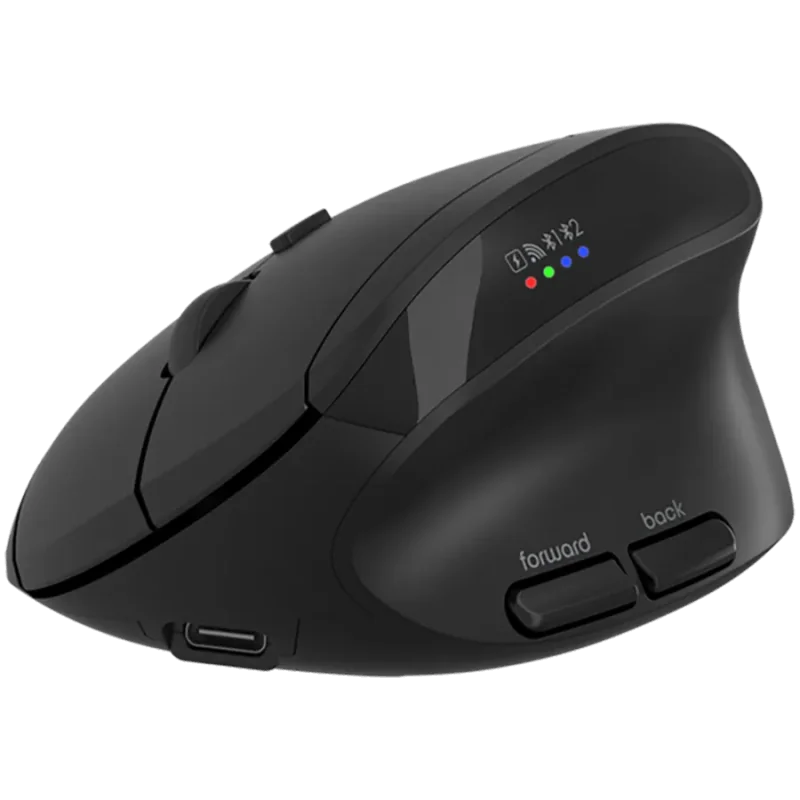 CANYON mouse MW-25 Ergonomic LED AA Dual mode Wireless Black - 1