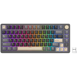 ROYAL KLUDGE RK-M75 Phantom Gaming Keyboard K Silver switch - 1