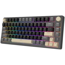 ROYAL KLUDGE RK-M75 Phantom Gaming Keyboard K Silver switch - 2