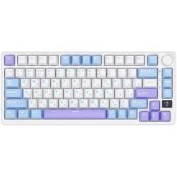 ROYAL KLUDGE RK-M75 Taro Milk Gaming Keyboard K Silver switch - 1