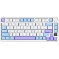 ROYAL KLUDGE RK-M75 Taro Milk Gaming Keyboard K Silver switch - 1
