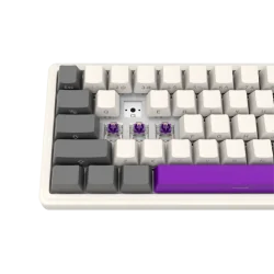 LORGAR KBP70MW, Wireless 65% Mechanical Gaming Keyboard Pro, Beige, EN layout - 8
